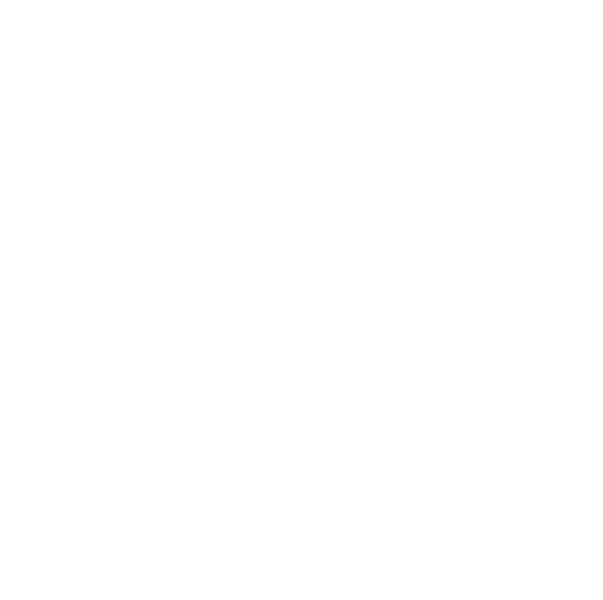 BRAND 17